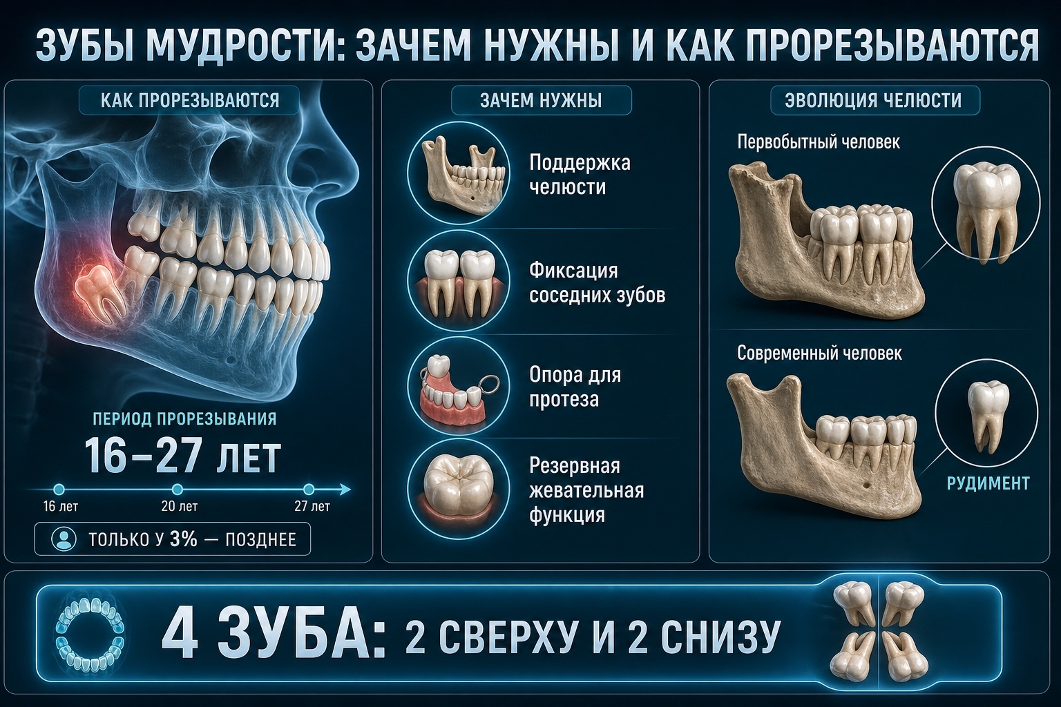 необходимость зубов мудрости